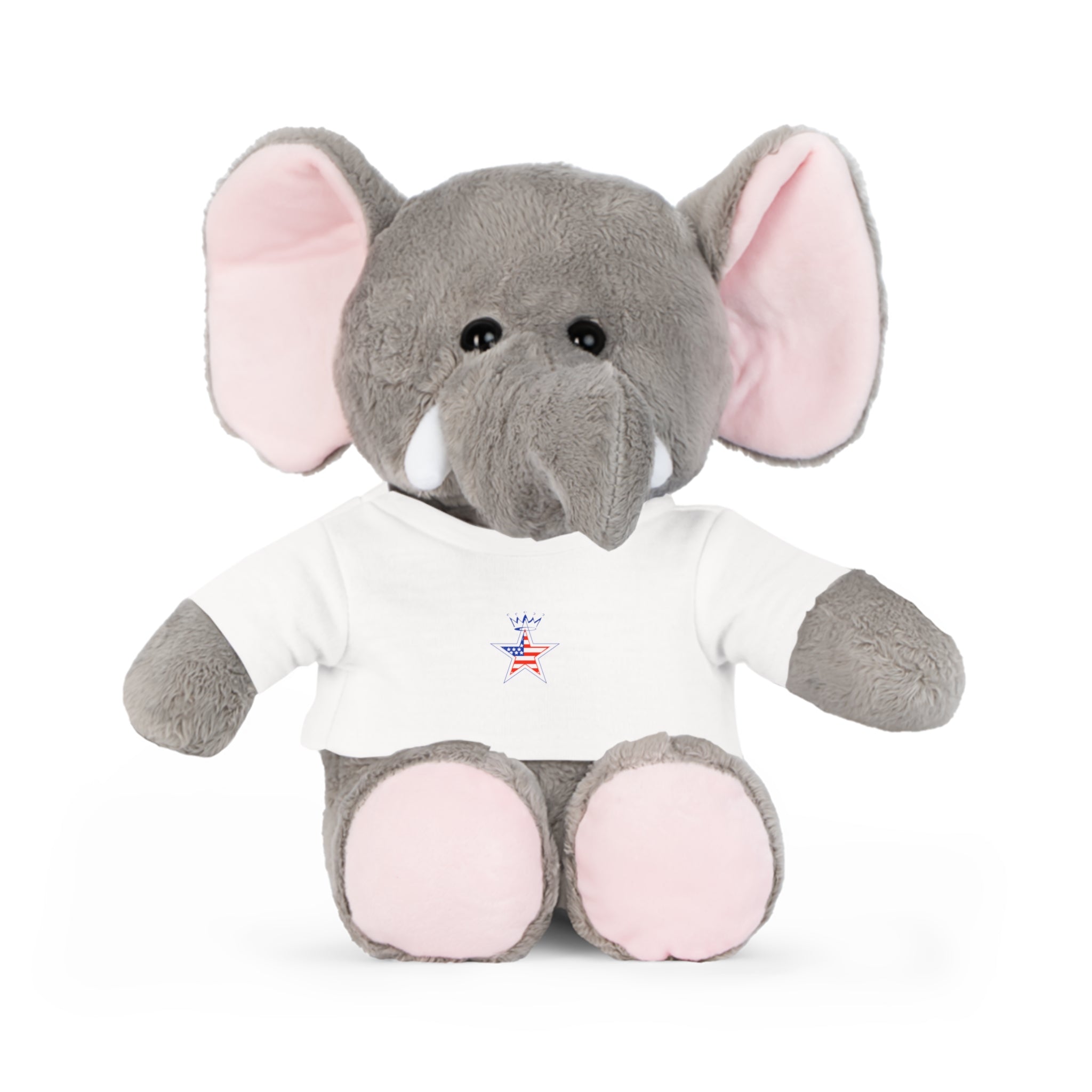 Military Star Plush Teddy Bear