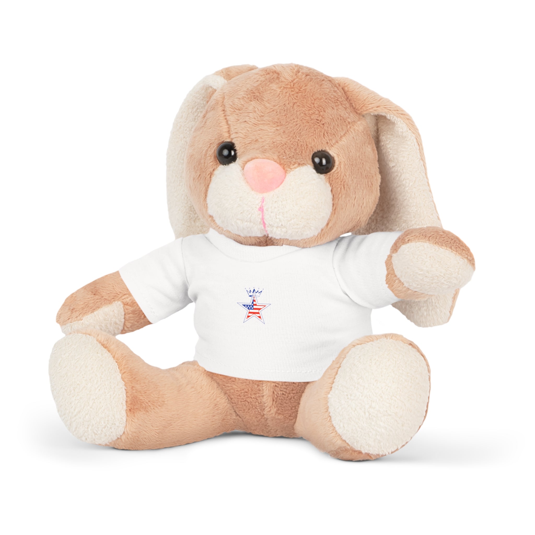 Military Star Plush Teddy Bear
